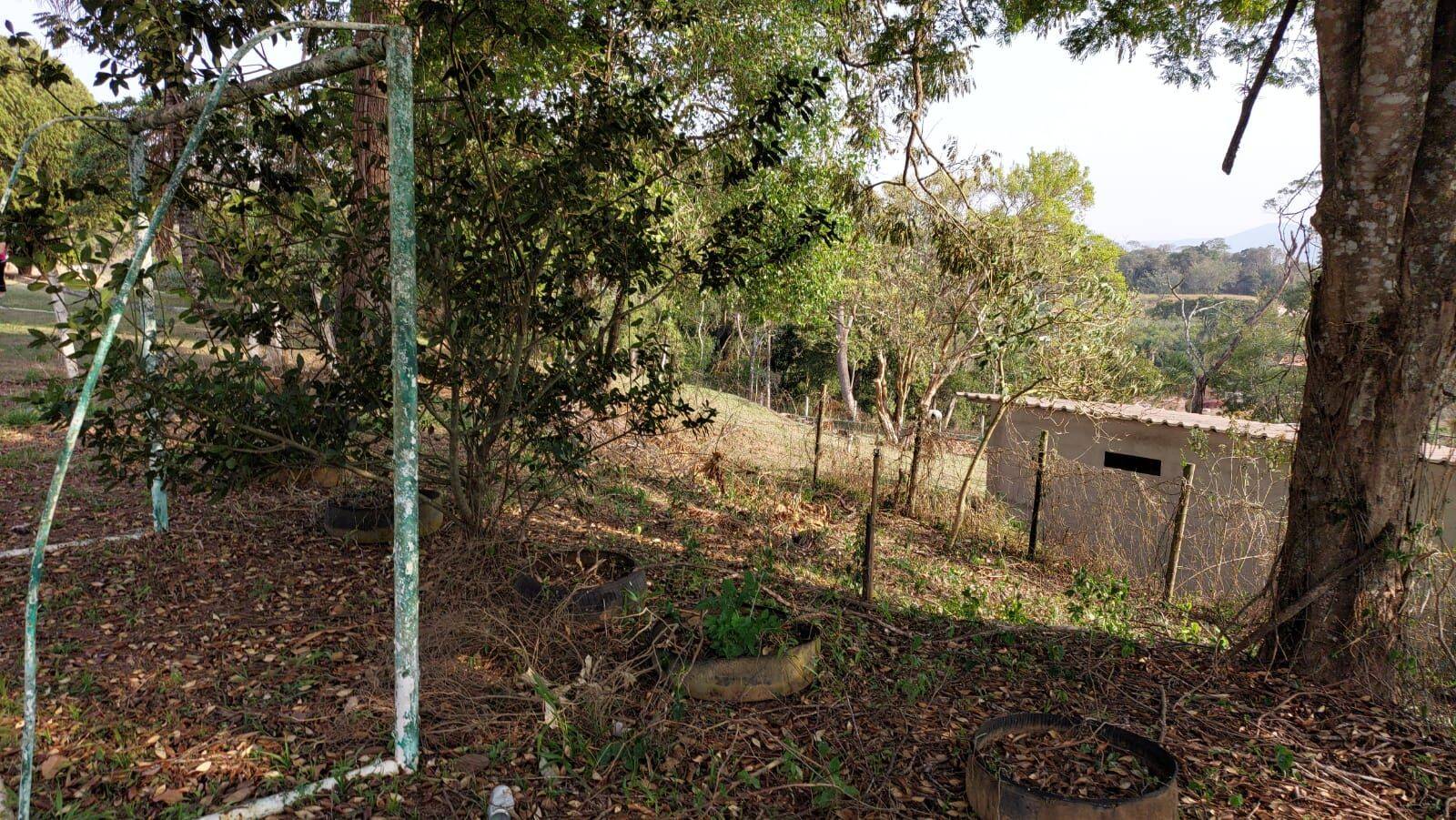 Sítio, 6 quartos, 2 hectares - Foto 138