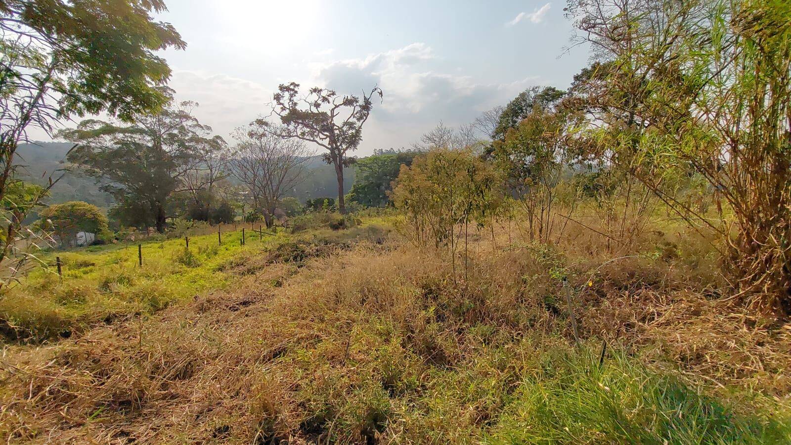 Sítio, 6 quartos, 2 hectares - Foto 139