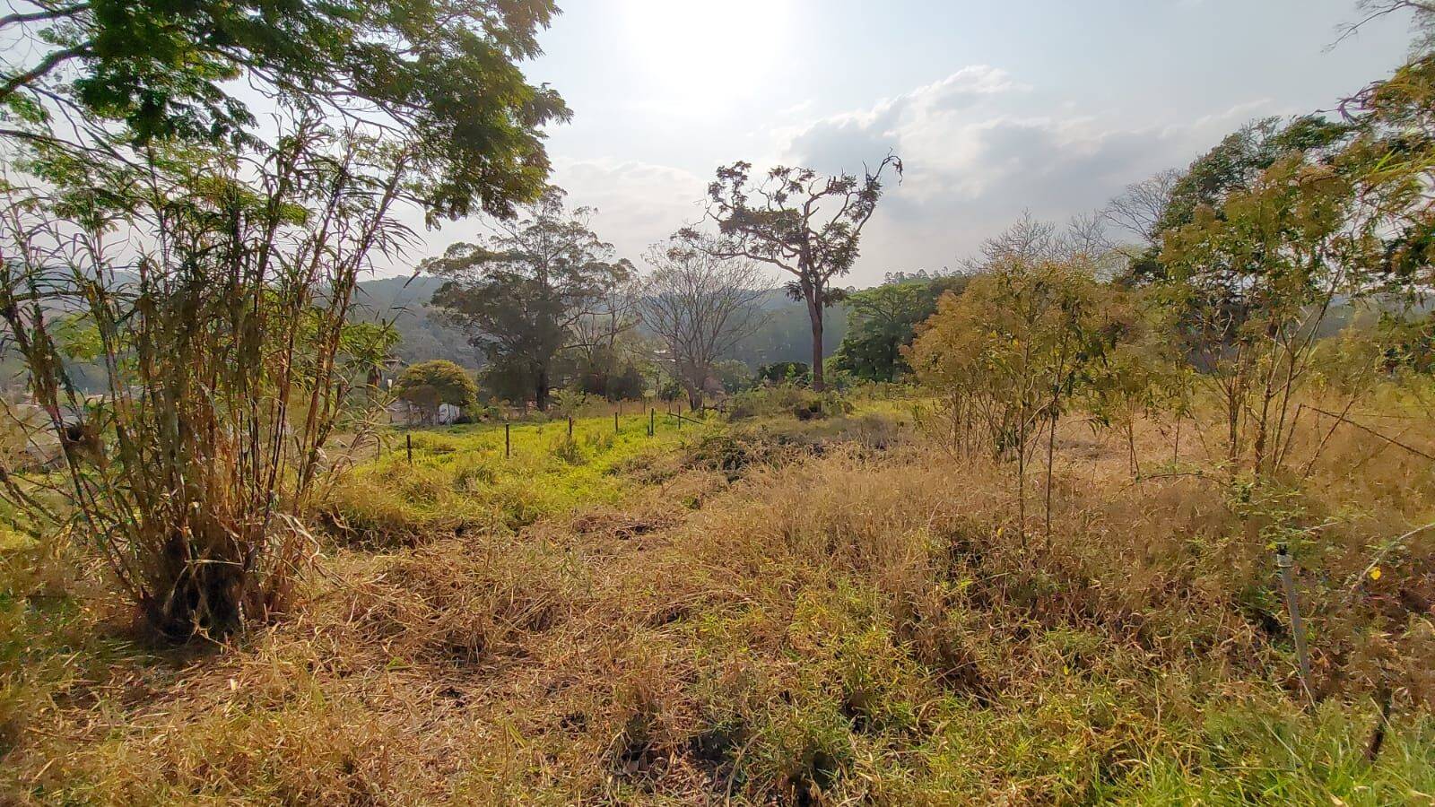 Sítio, 6 quartos, 2 hectares - Foto 140