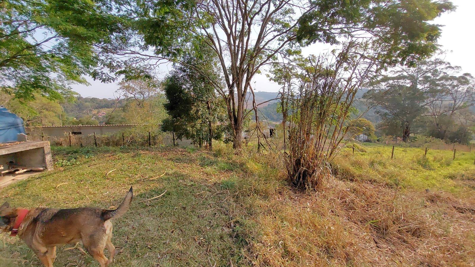 Sítio, 6 quartos, 2 hectares - Foto 141