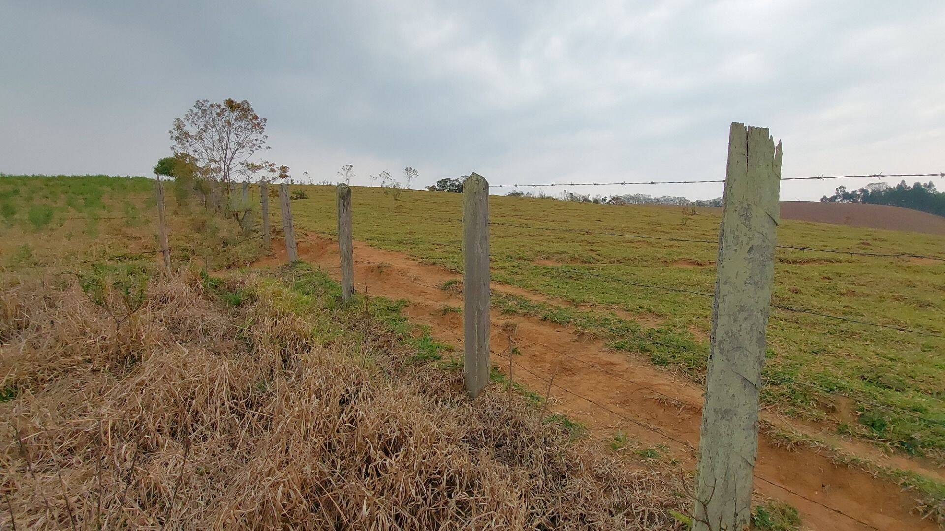 Chácara, 1 quarto, 1 hectares - Foto 11