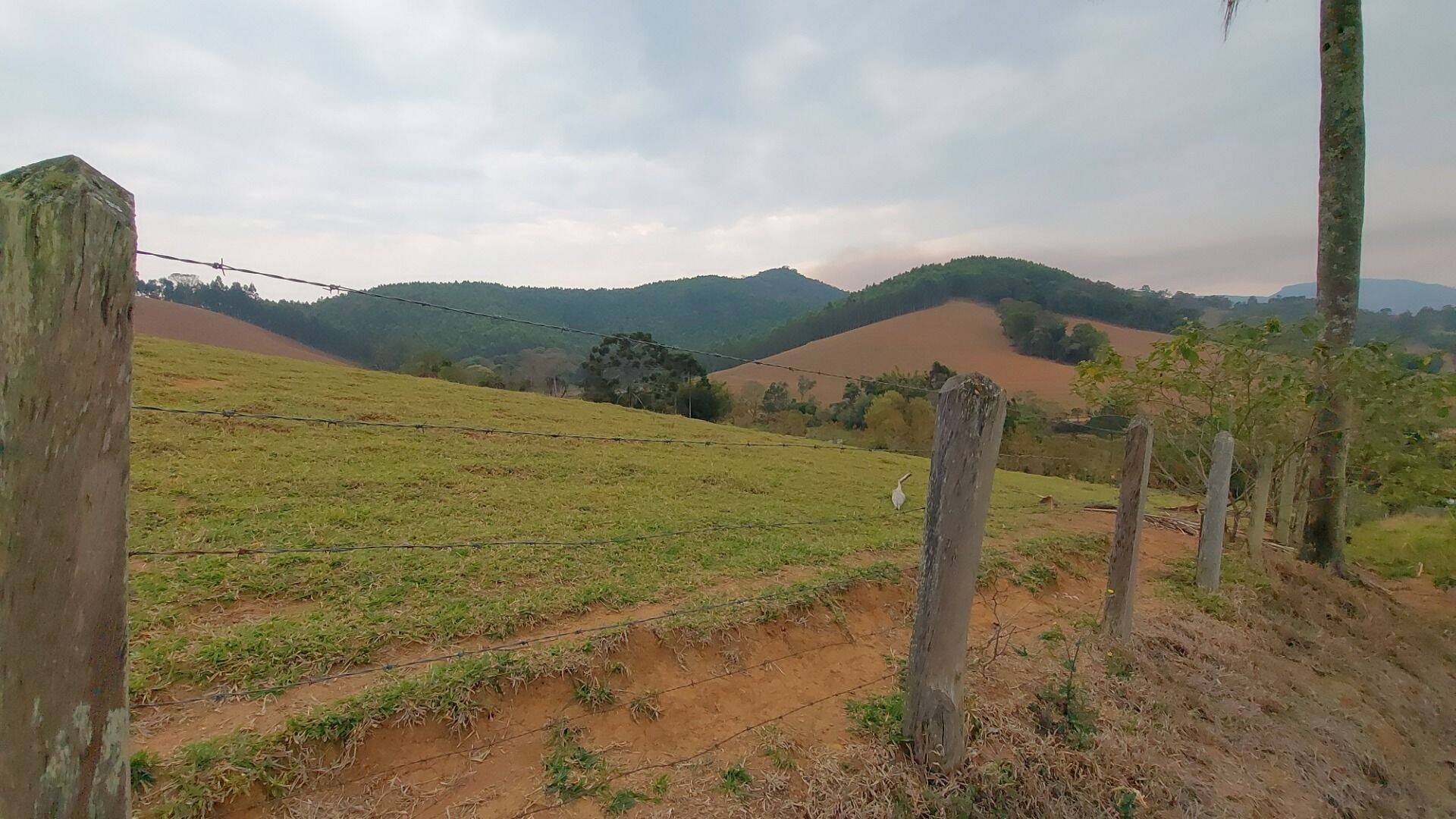 Chácara, 1 quarto, 1 hectares - Foto 12