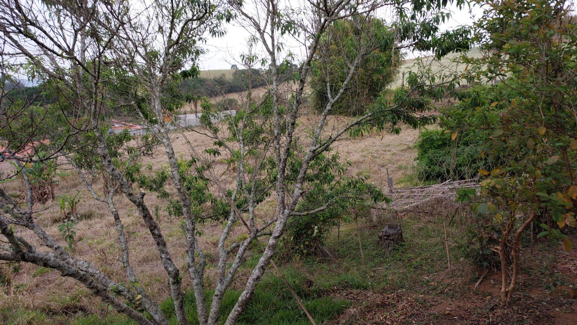 Chácara, 1 quarto, 1 hectares - Foto 13