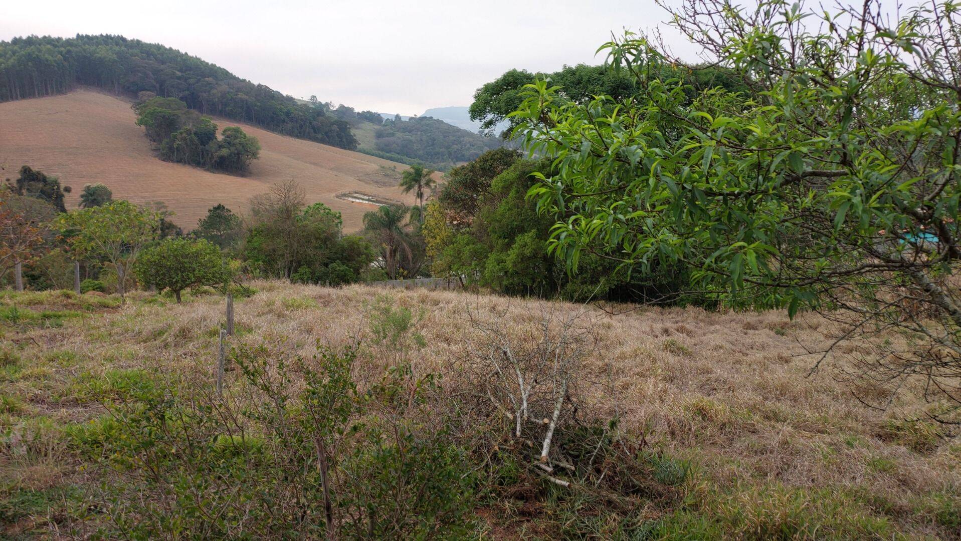 Chácara, 1 quarto, 1 hectares - Foto 14