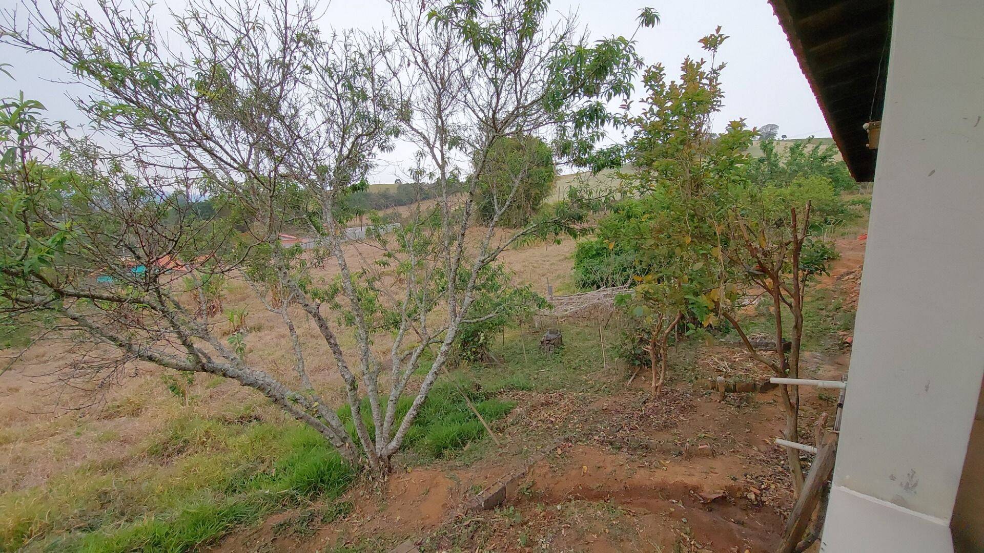 Chácara, 1 quarto, 1 hectares - Foto 15