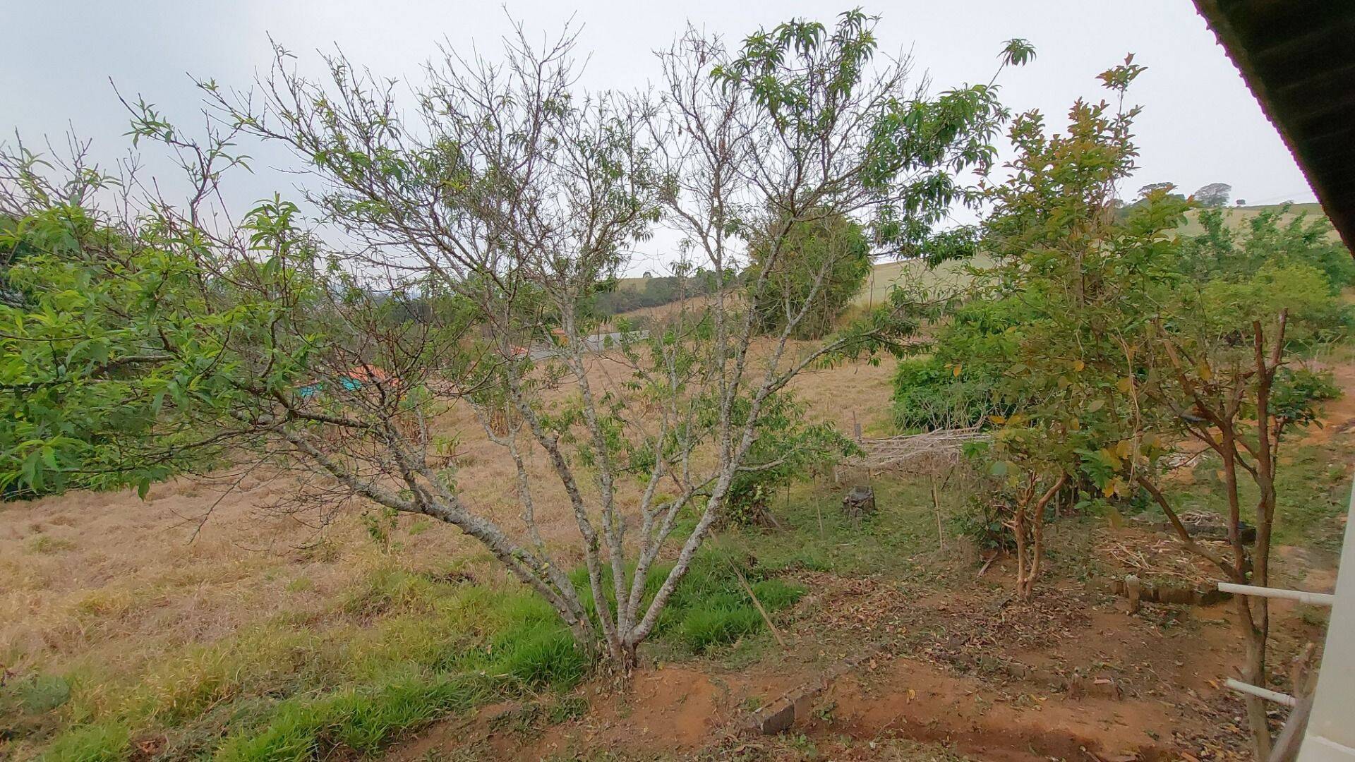 Chácara, 1 quarto, 1 hectares - Foto 16