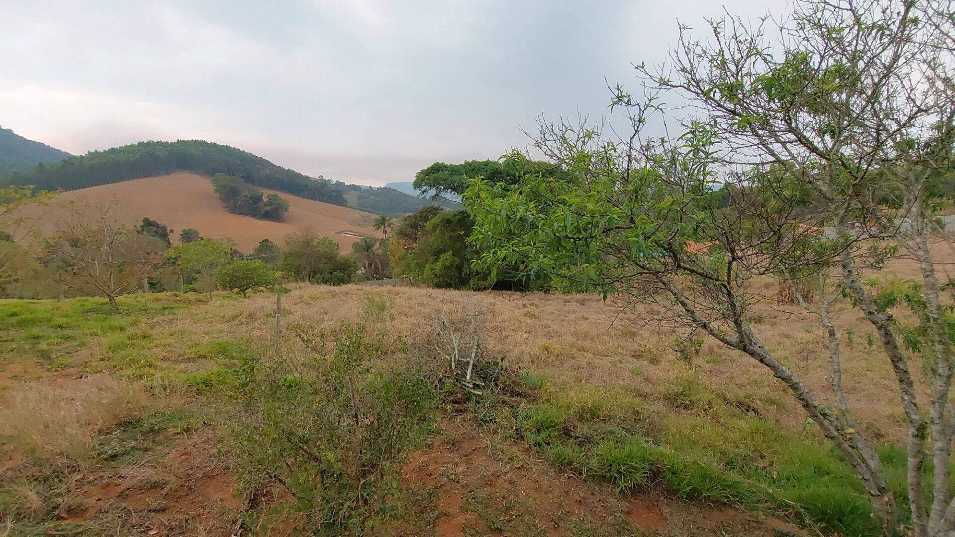 Chácara, 1 quarto, 1 hectares - Foto 17