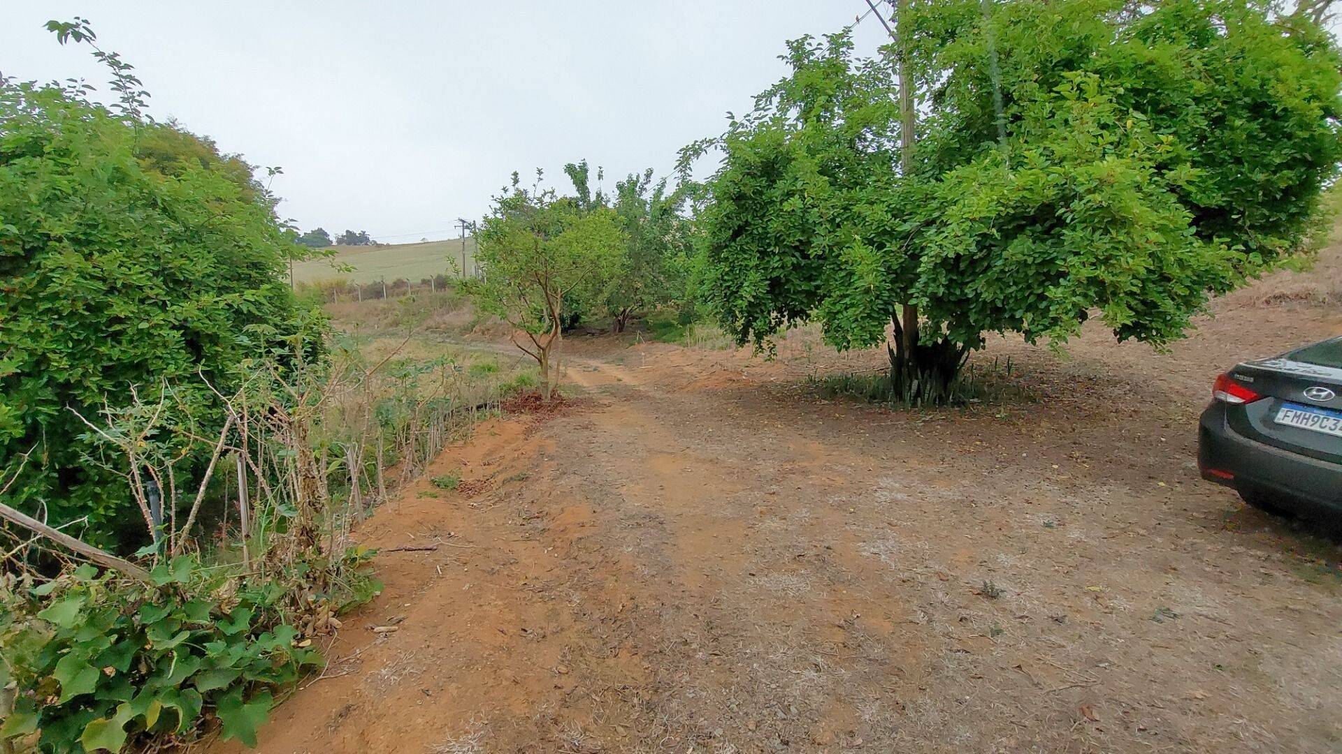 Chácara, 1 quarto, 1 hectares - Foto 18