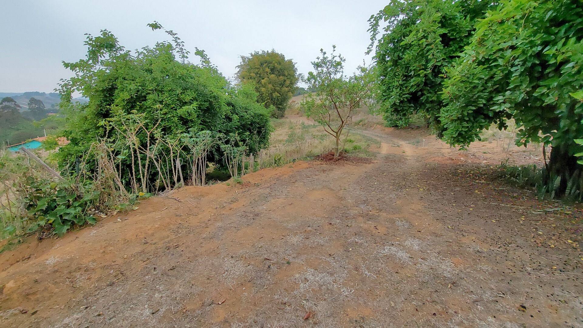 Chácara, 1 quarto, 1 hectares - Foto 19