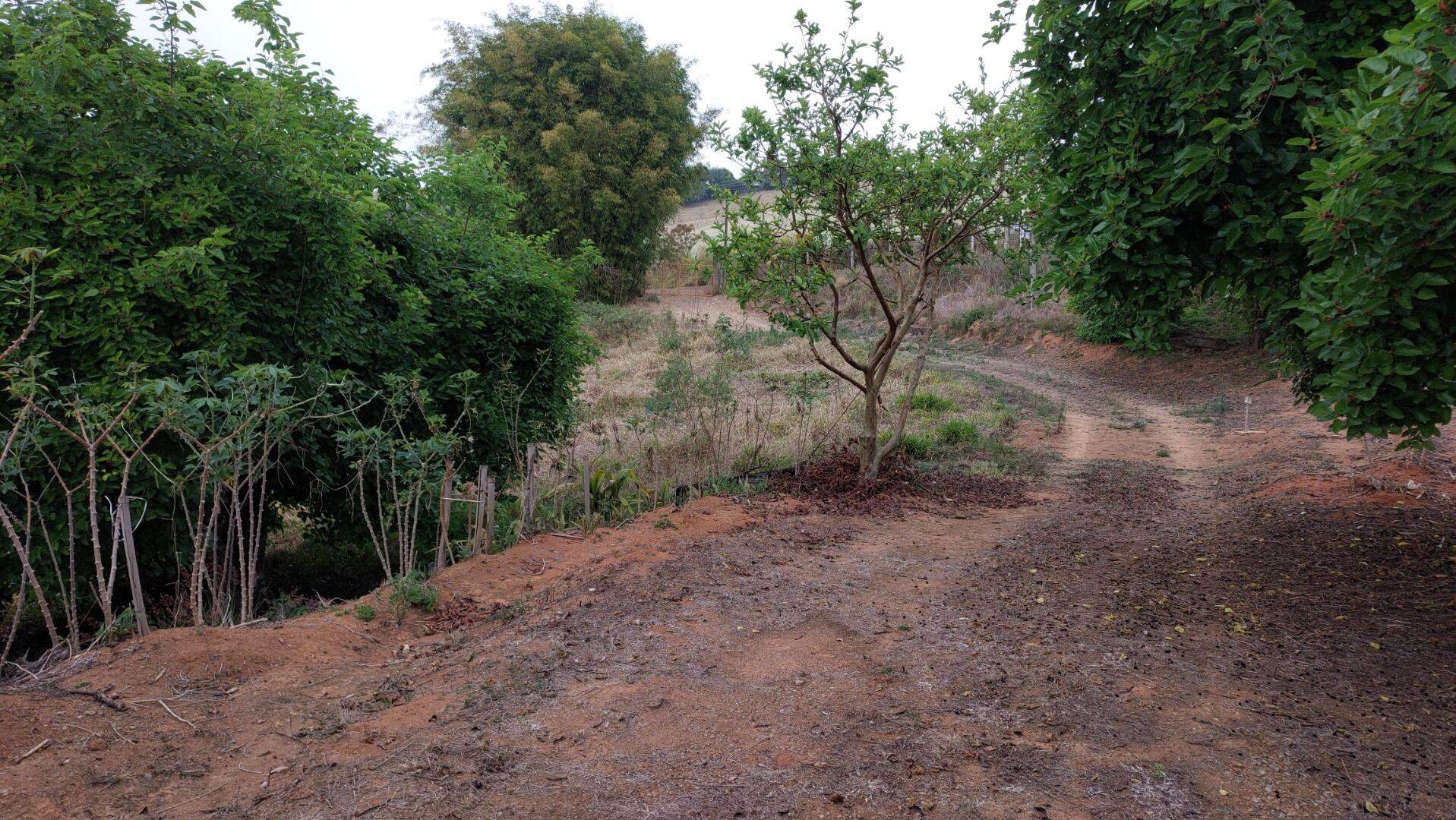 Chácara, 1 quarto, 1 hectares - Foto 21