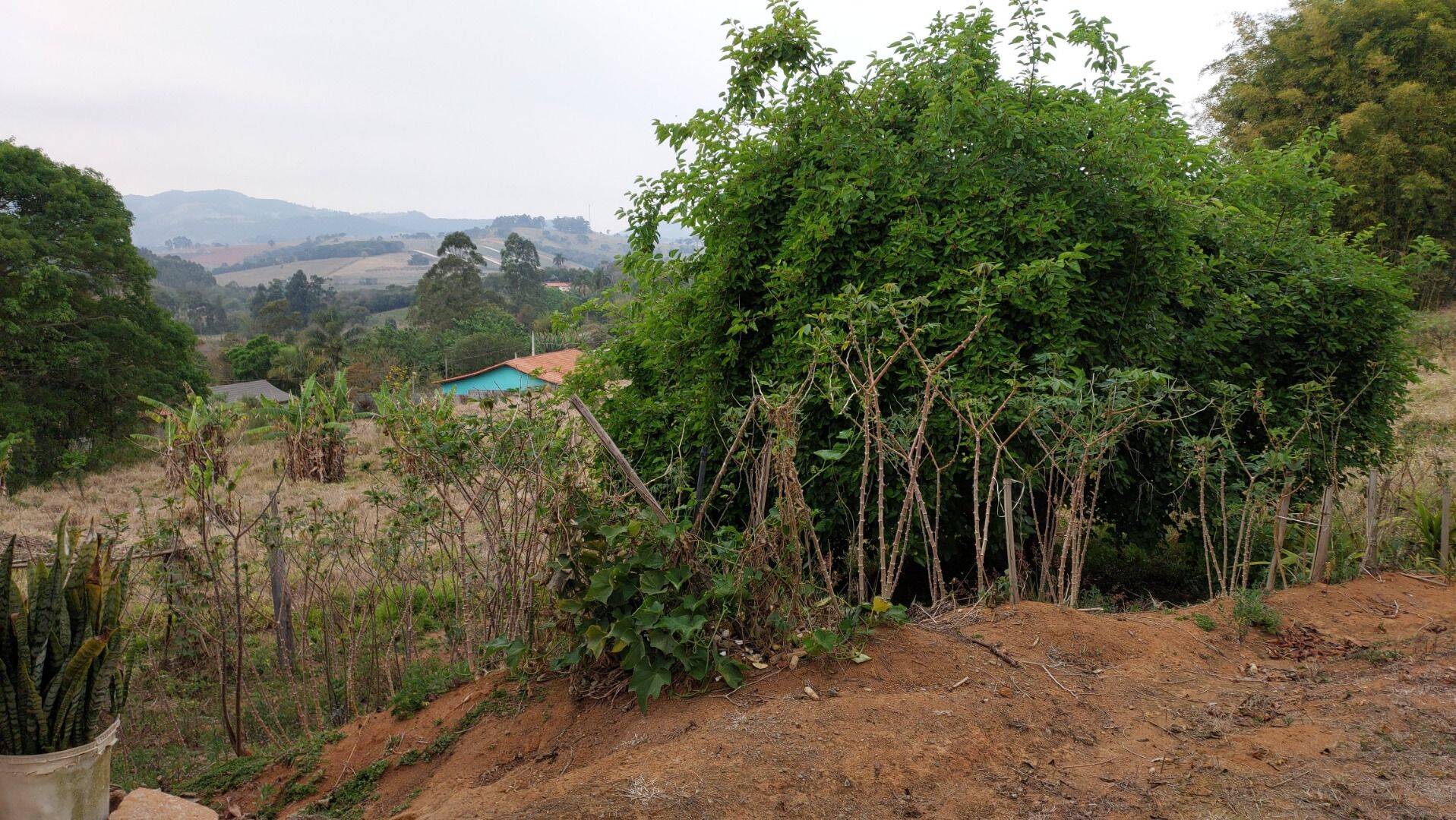 Chácara, 1 quarto, 1 hectares - Foto 22
