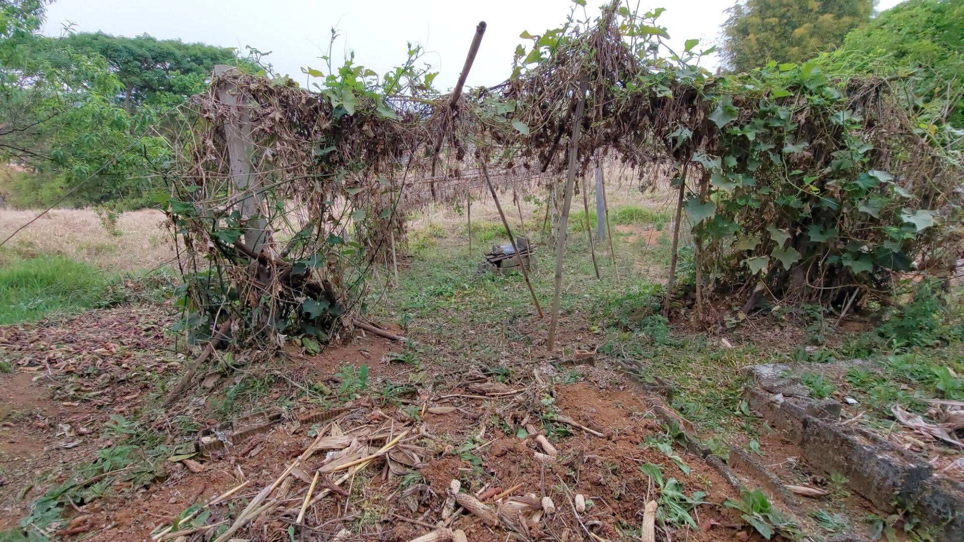 Chácara, 1 quarto, 1 hectares - Foto 36
