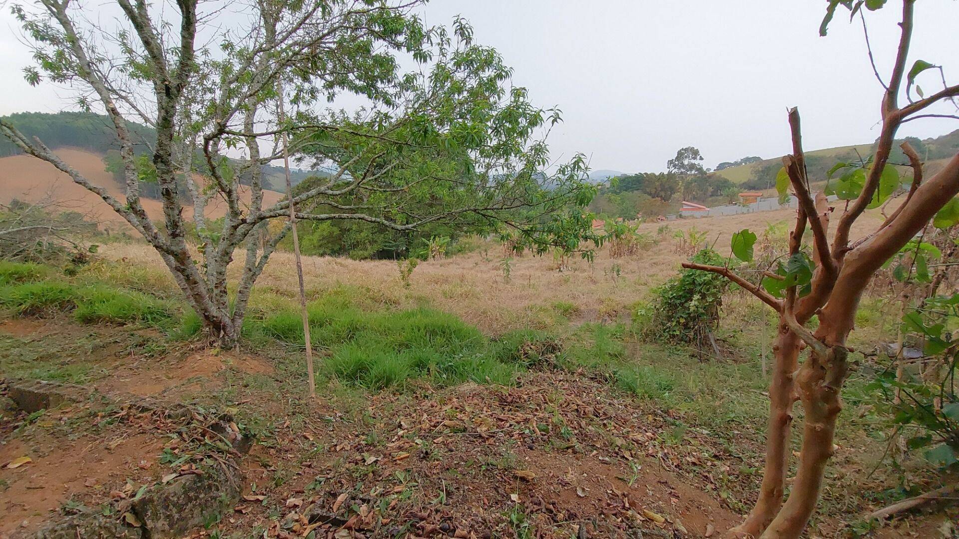 Chácara, 1 quarto, 1 hectares - Foto 38