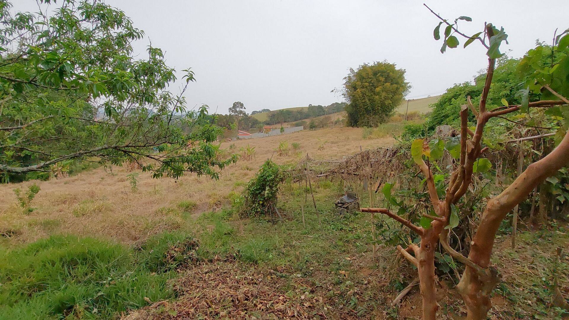 Chácara, 1 quarto, 1 hectares - Foto 39