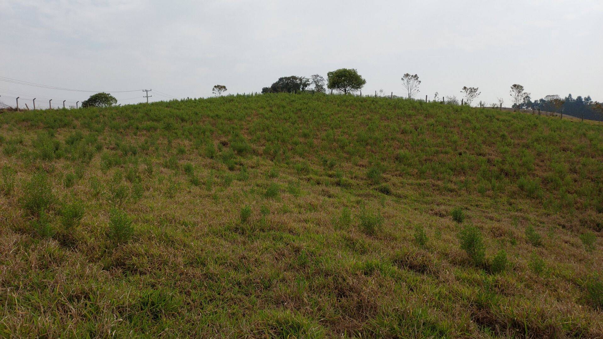 Chácara, 1 quarto, 1 hectares - Foto 40