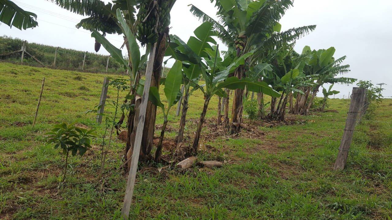 Chácara, 1 quarto, 1 hectares - Foto 47