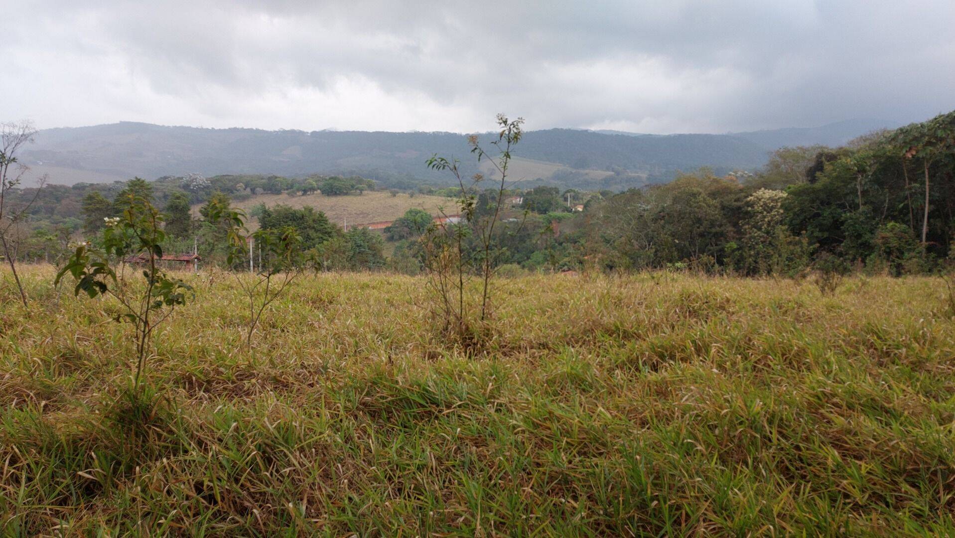 Terreno, 9200 m² - Foto 6