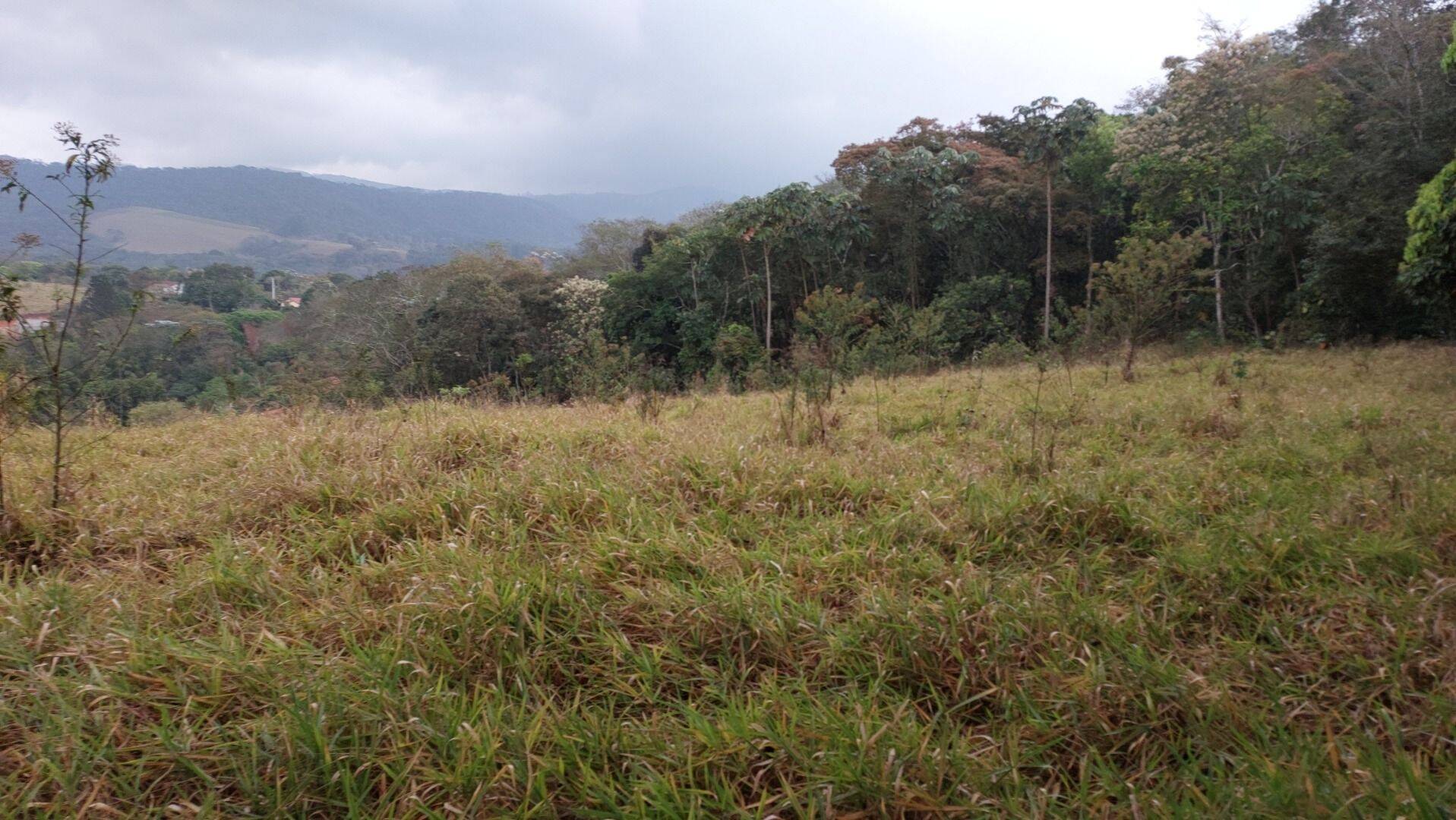 Terreno, 9200 m² - Foto 7