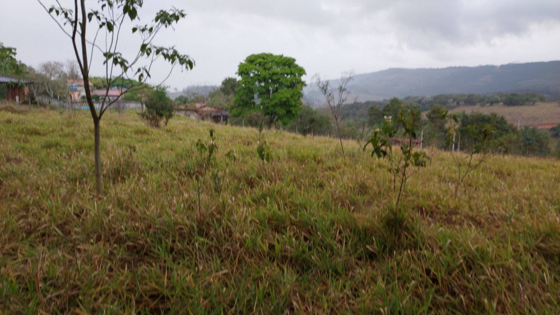 Terreno, 9200 m² - Foto 8