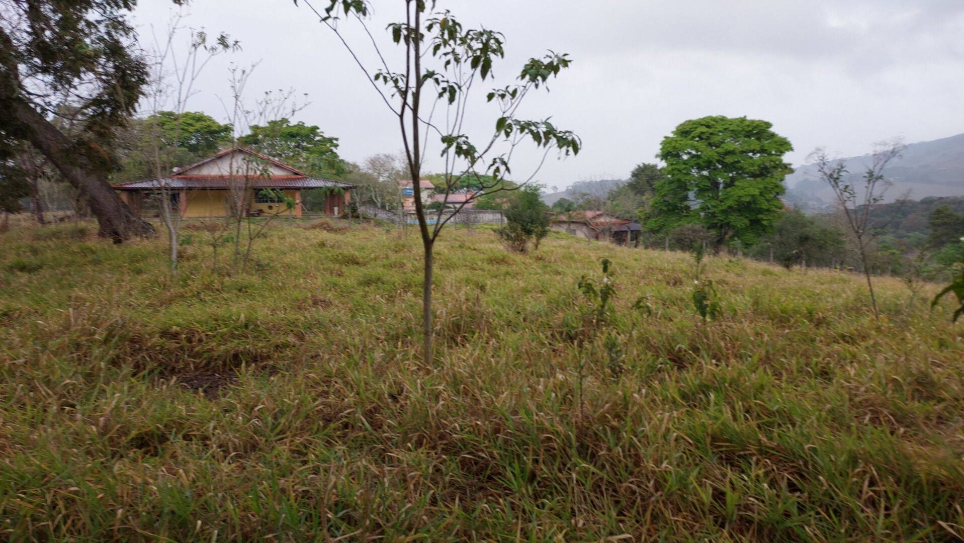 Terreno, 9200 m² - Foto 9