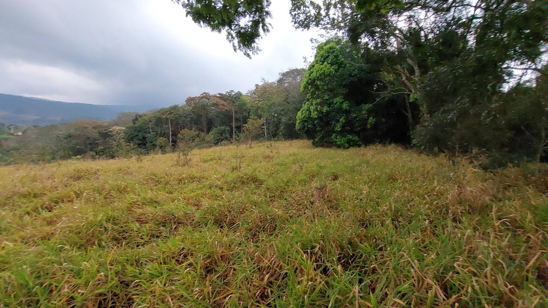 Terreno, 9200 m² - Foto 10