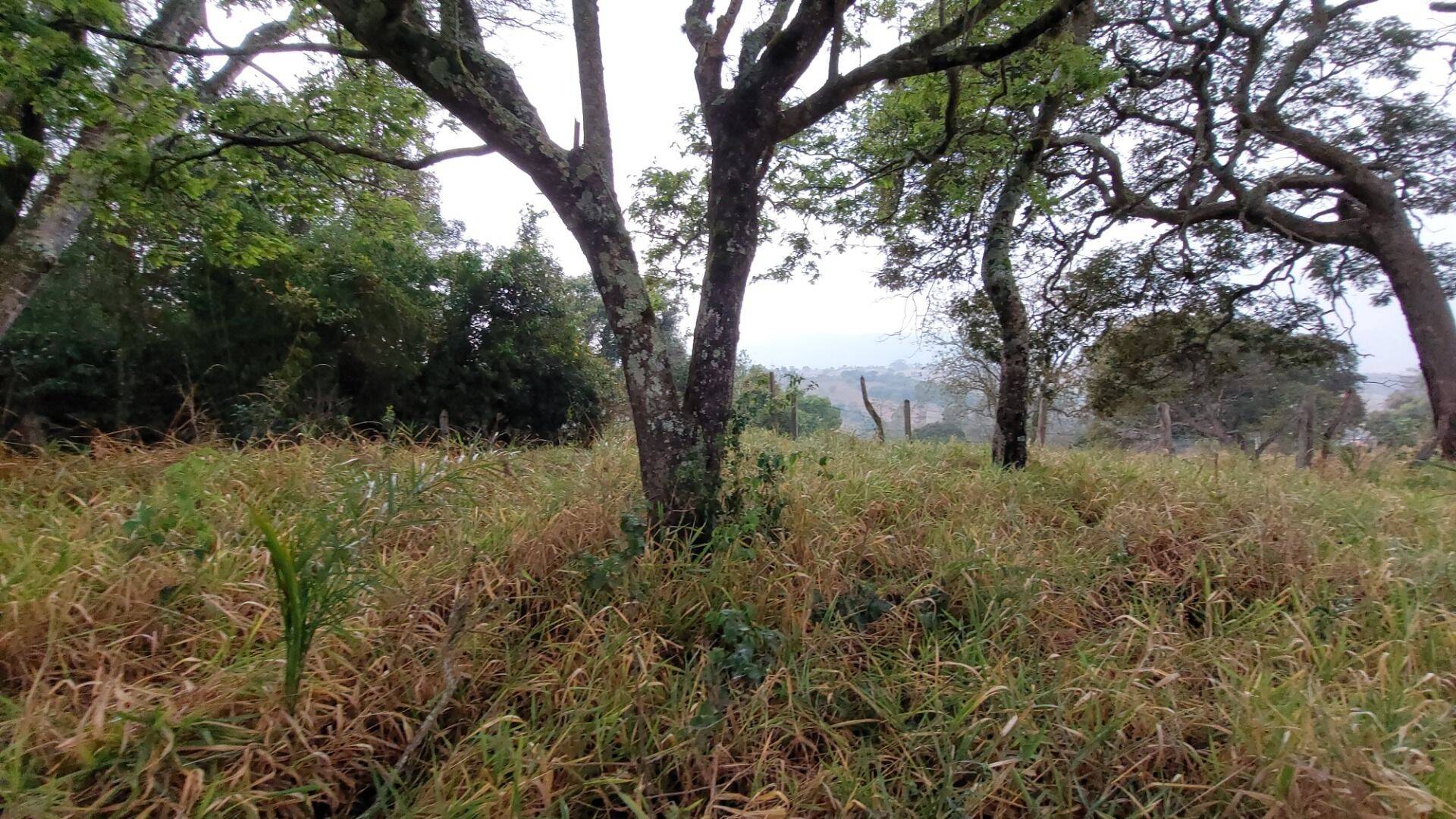 Terreno, 9200 m² - Foto 11