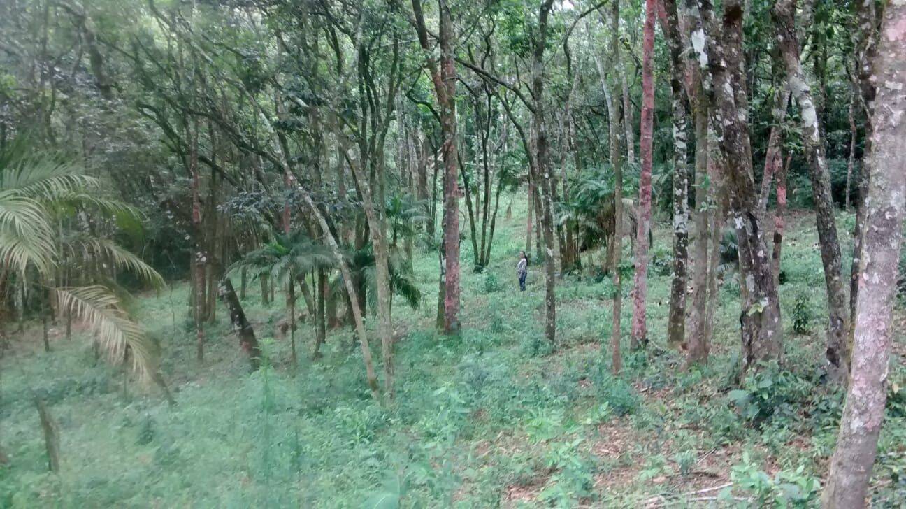 Terreno, 9200 m² - Foto 13