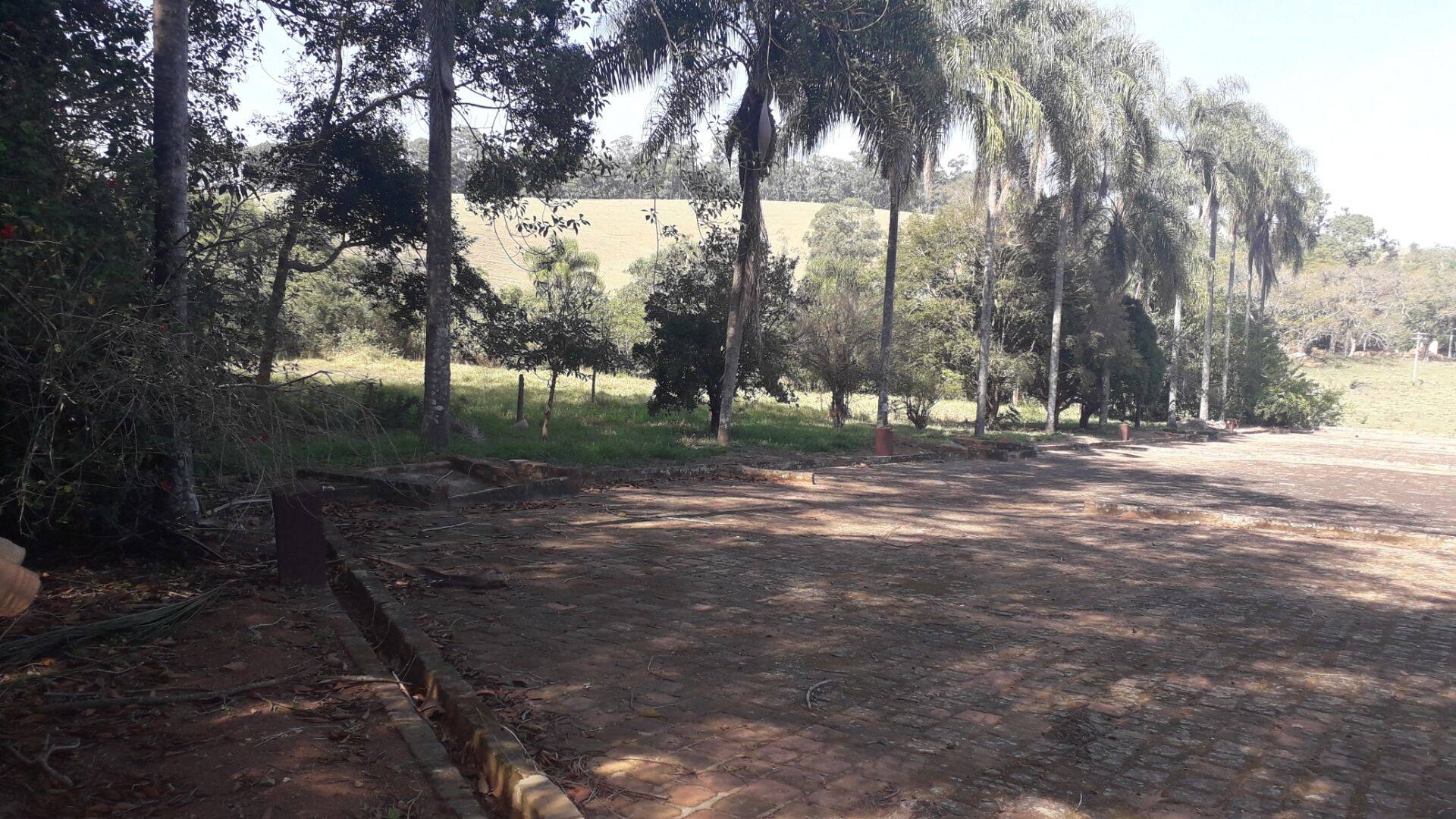 Fazenda, 131 hectares - Foto 57