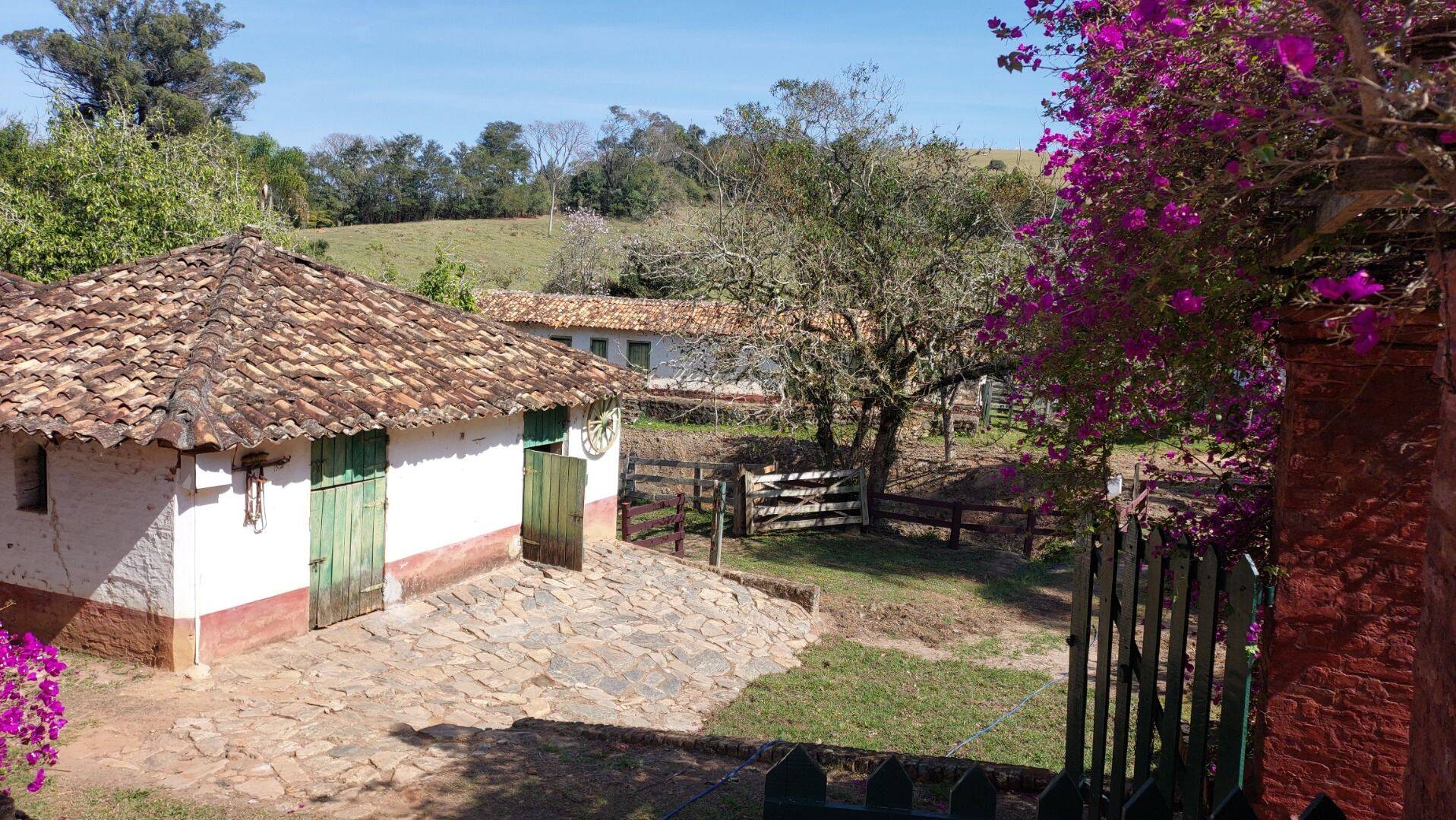 Fazenda, 131 hectares - Foto 59