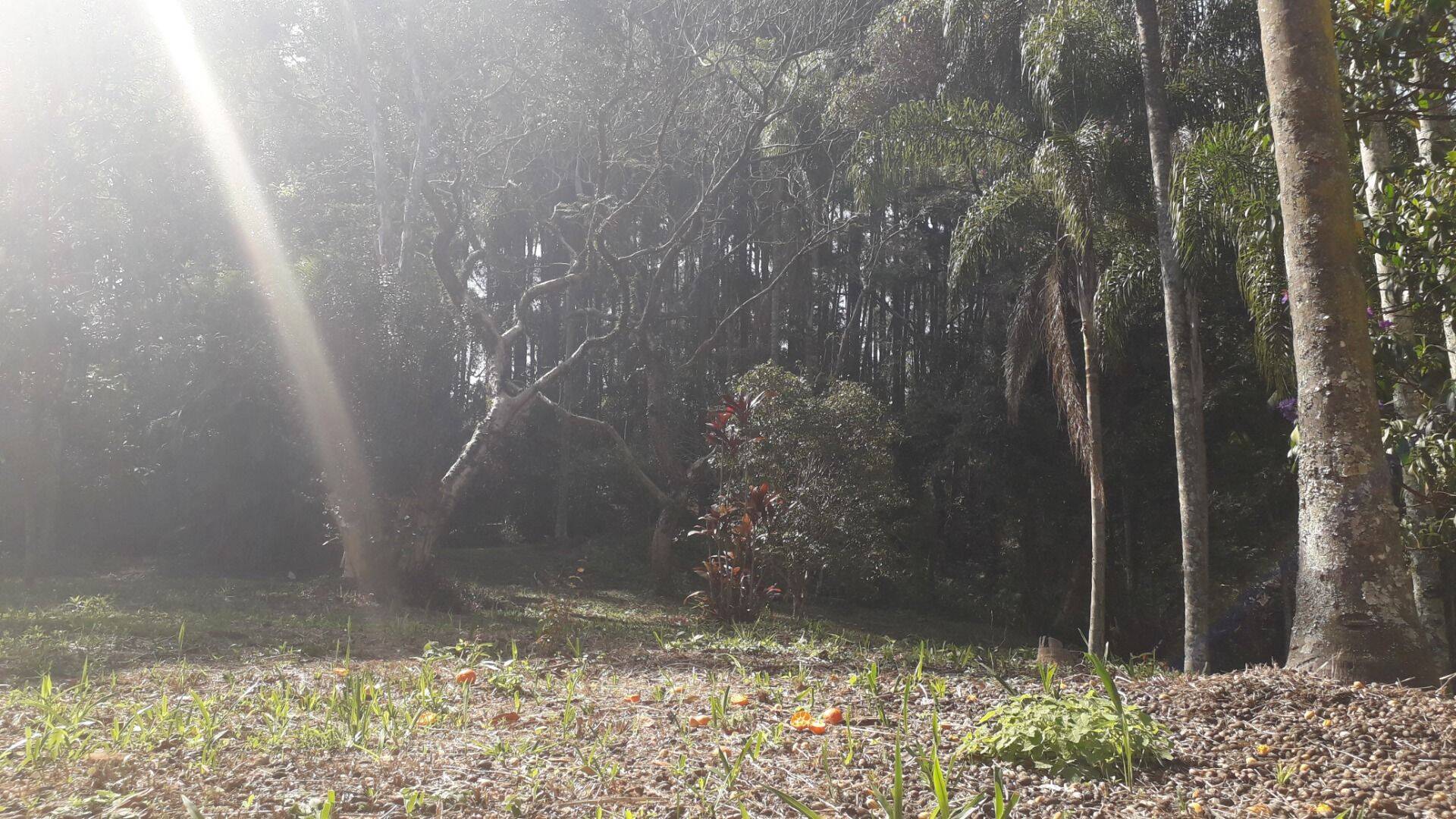Fazenda, 131 hectares - Foto 62