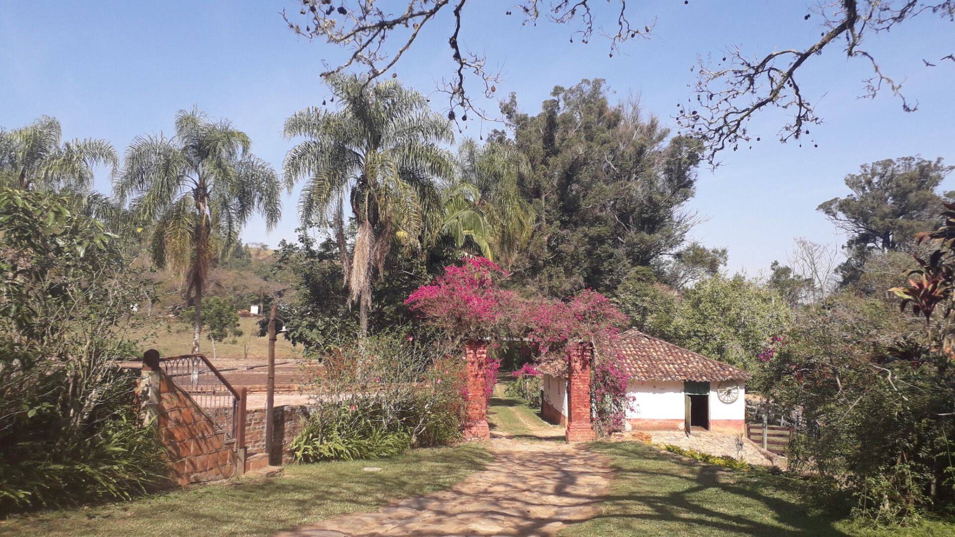 Fazenda, 131 hectares - Foto 69