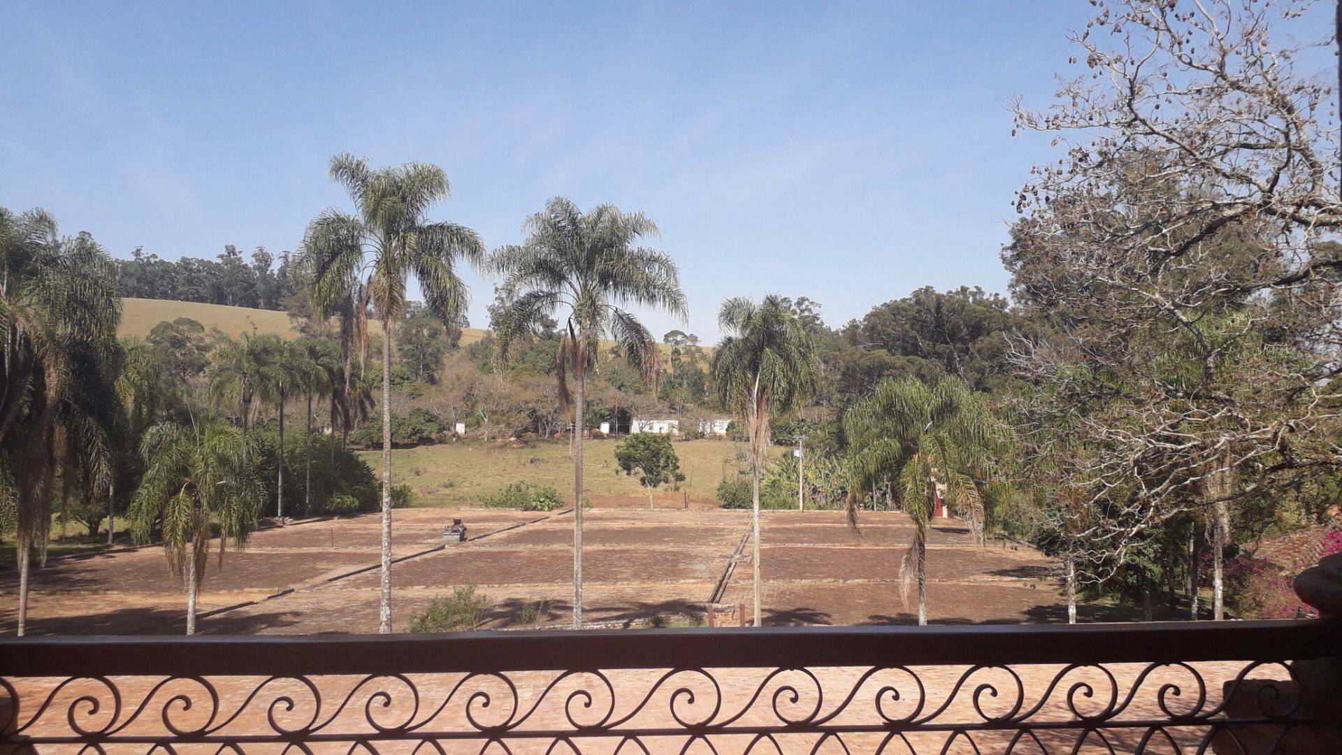 Fazenda, 131 hectares - Foto 76