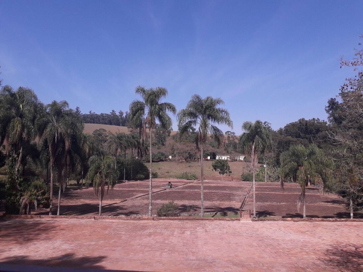 Fazenda, 131 hectares - Foto 78