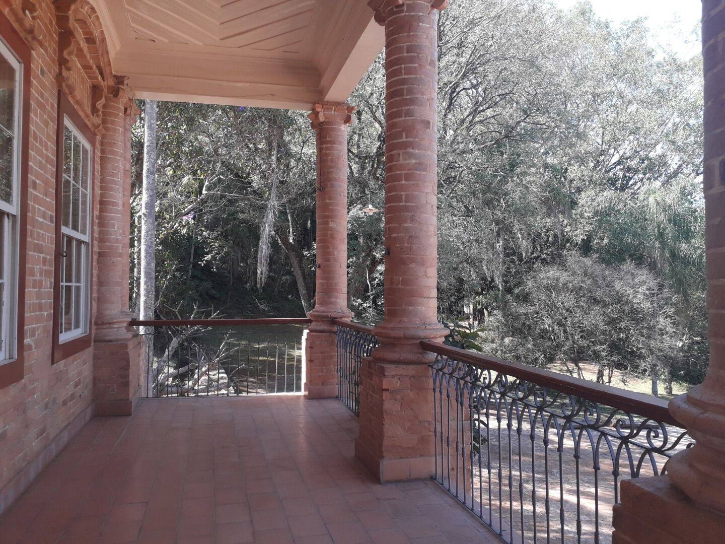 Fazenda, 131 hectares - Foto 79