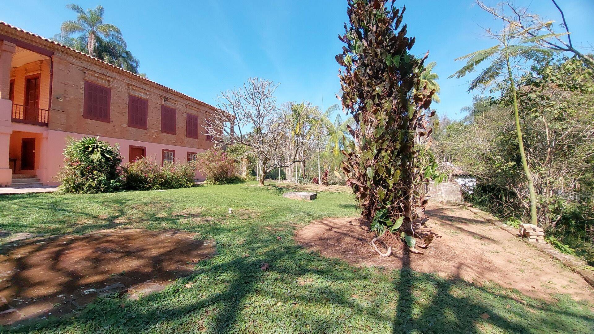 Fazenda, 131 hectares - Foto 85