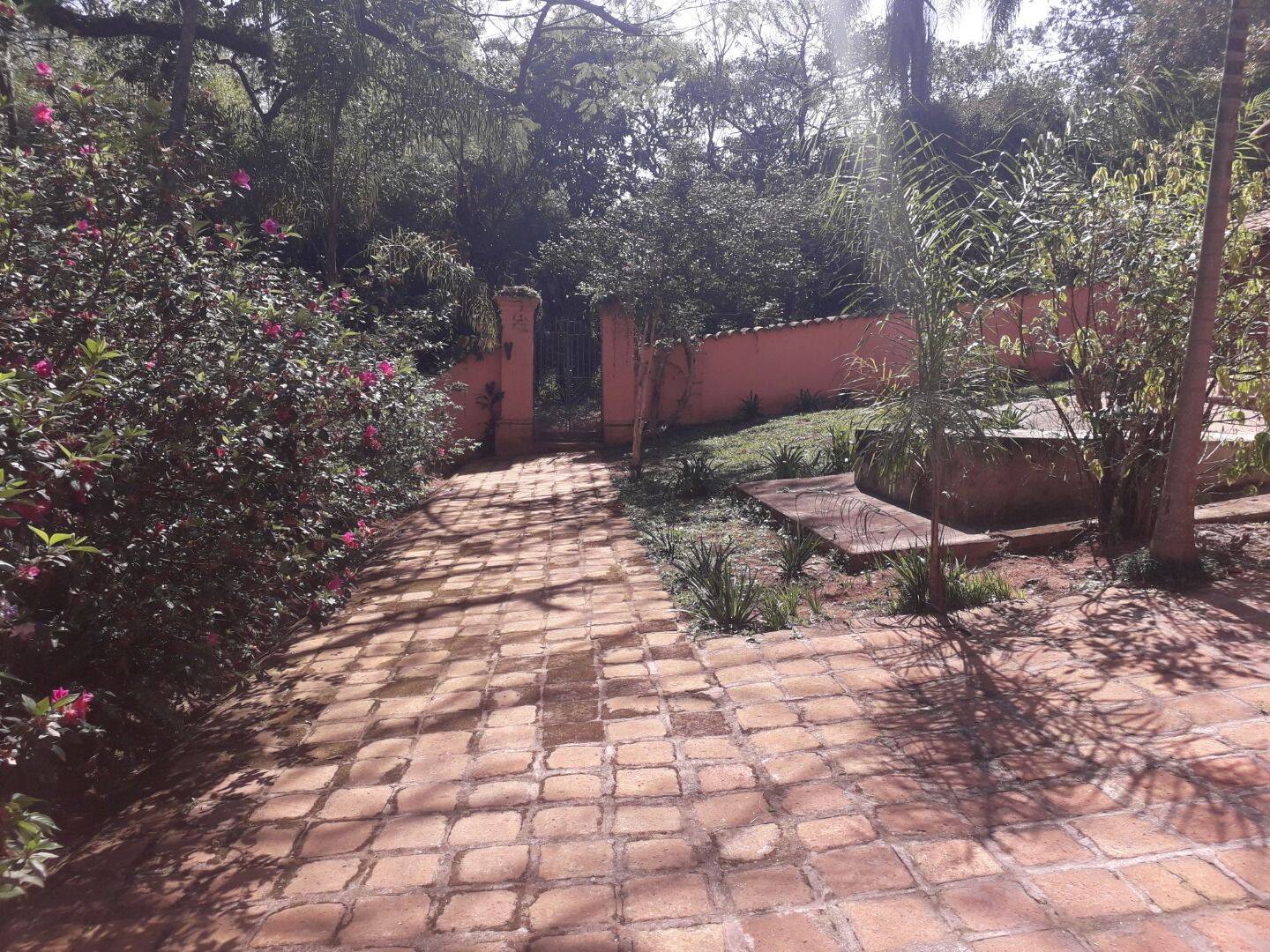 Fazenda, 131 hectares - Foto 87