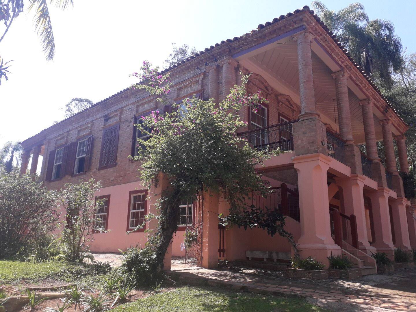 Fazenda, 131 hectares - Foto 119