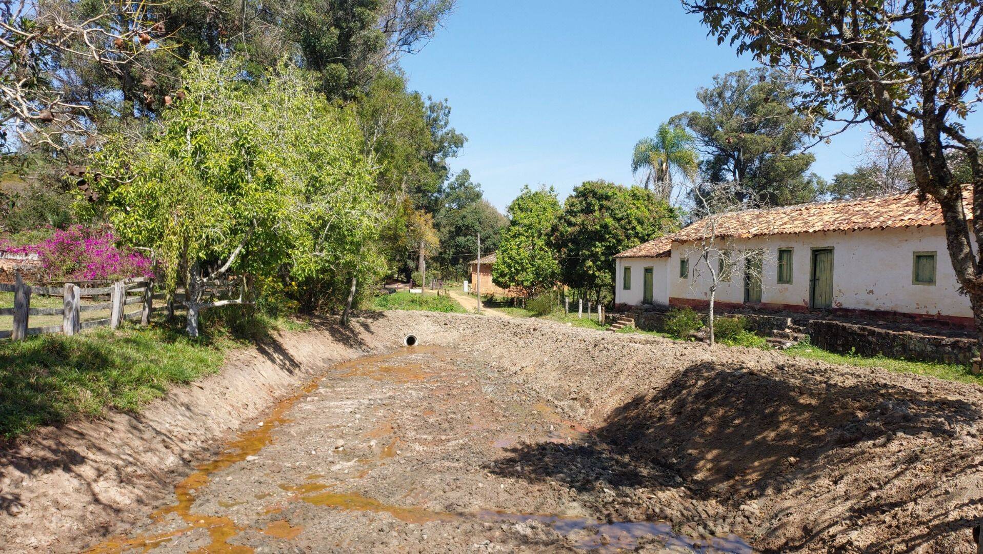 Fazenda, 131 hectares - Foto 124