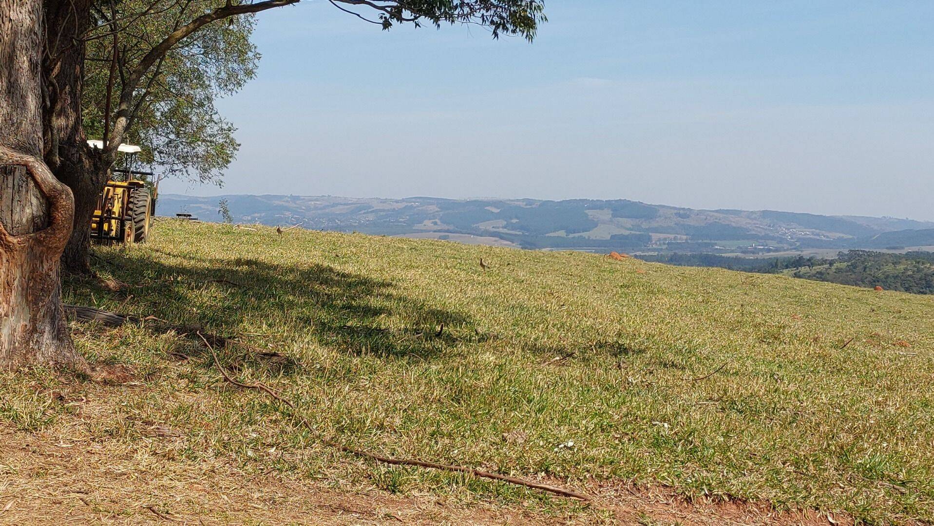 Fazenda, 131 hectares - Foto 126