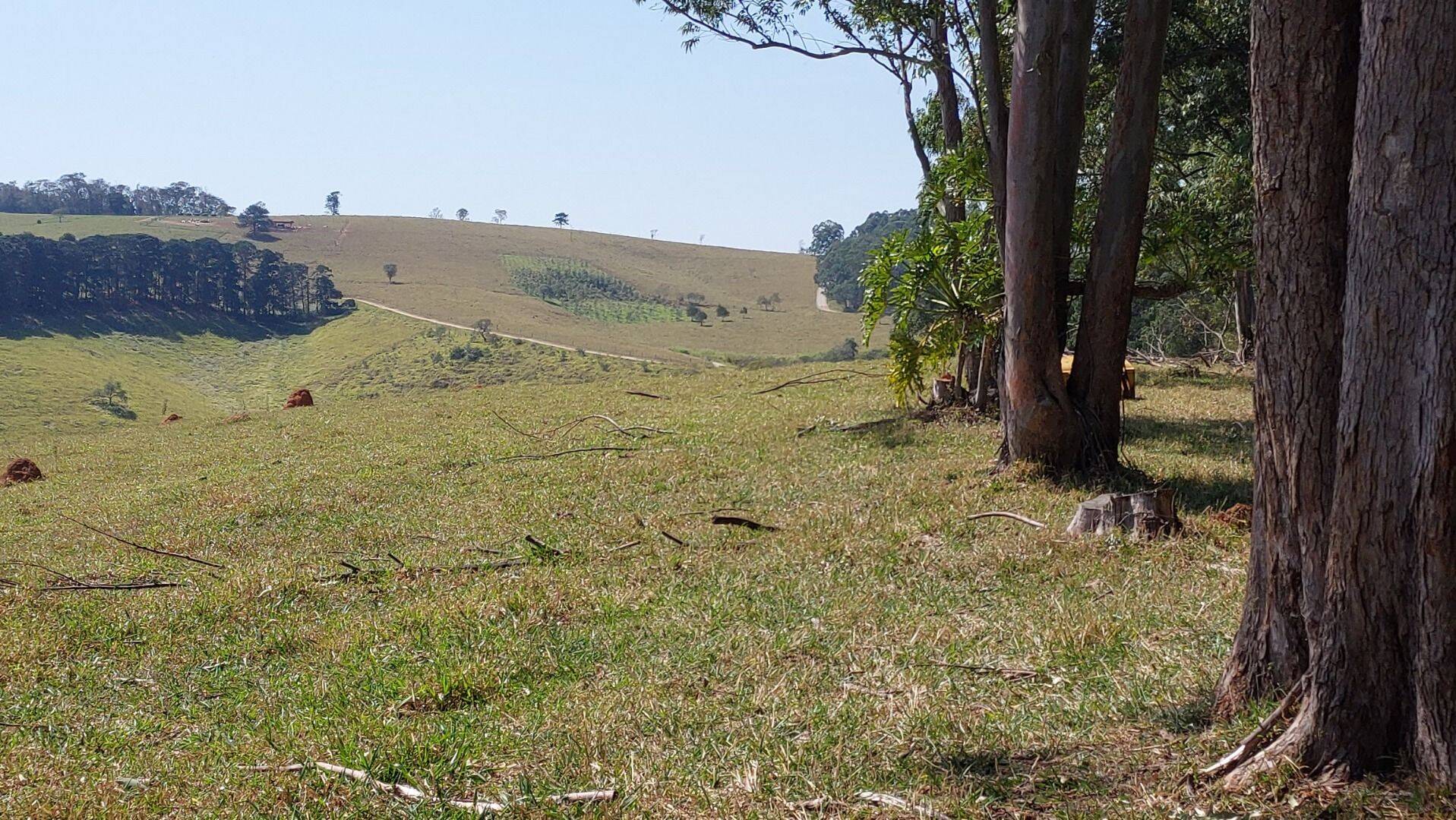 Fazenda, 131 hectares - Foto 128