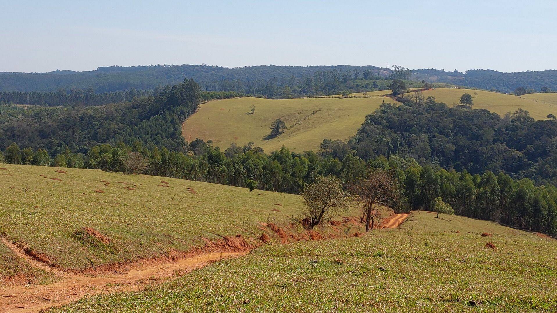 Fazenda, 131 hectares - Foto 129