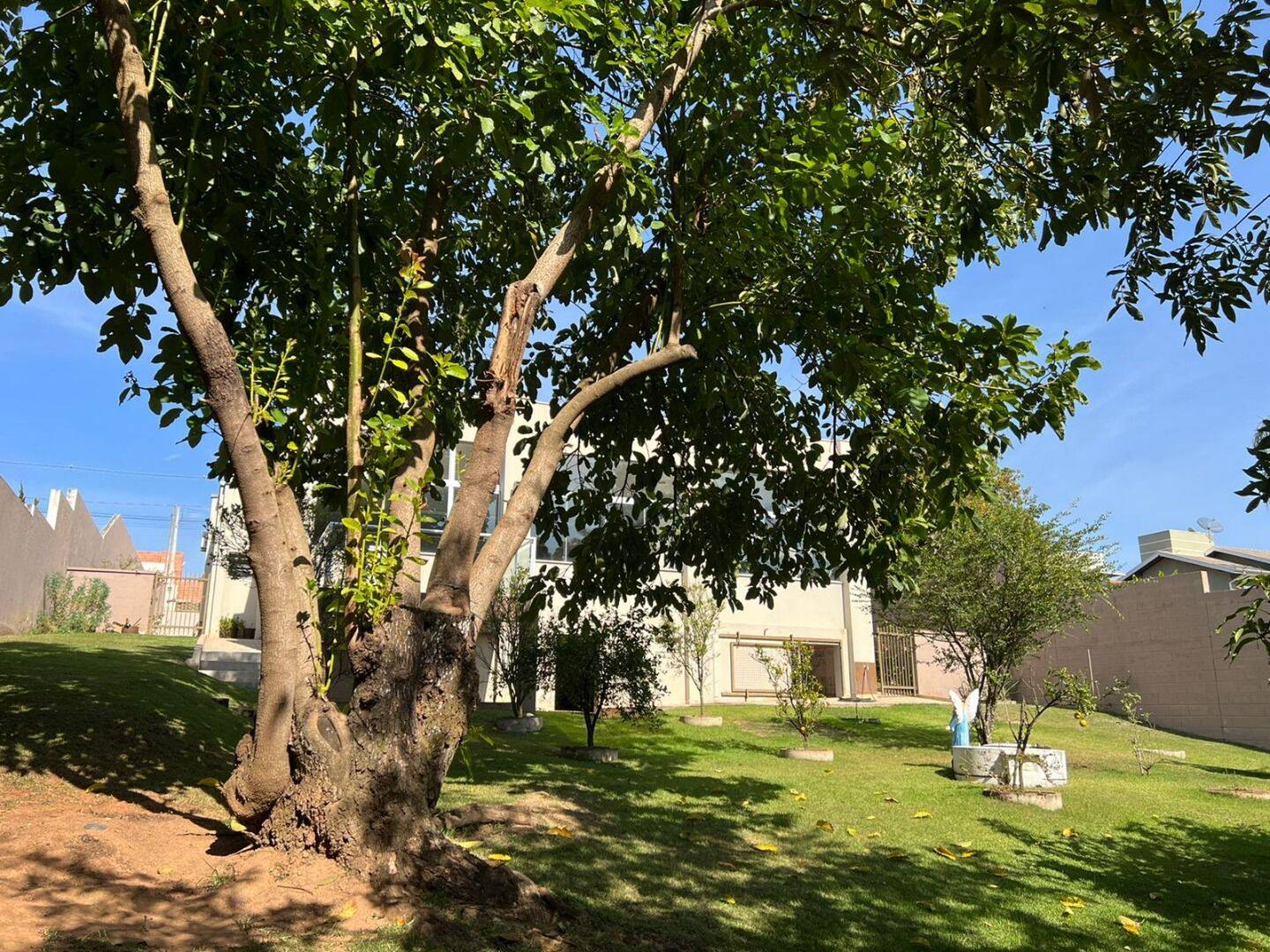 Casa, 4 quartos, 560 m² - Foto 2