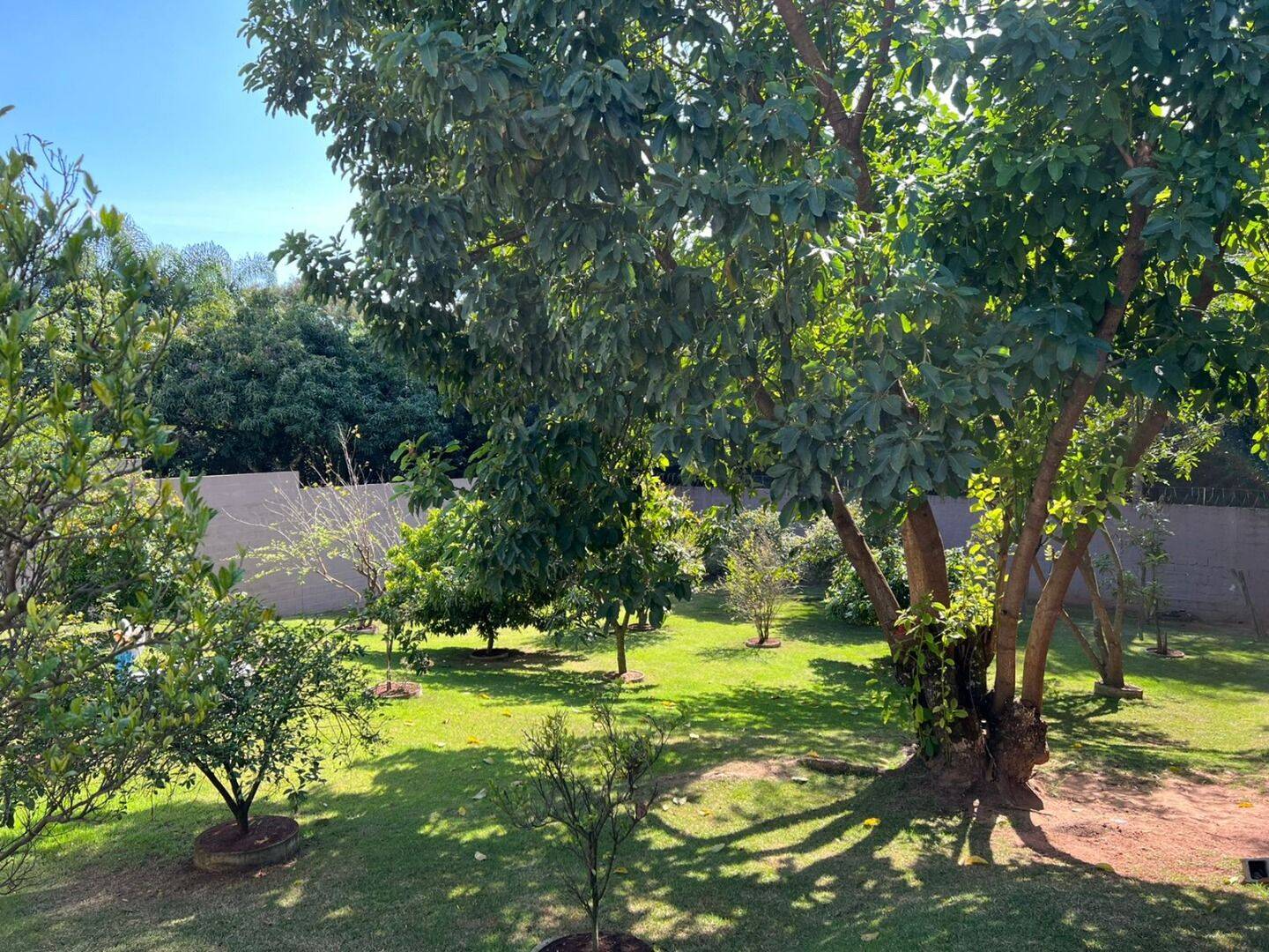Casa, 4 quartos, 560 m² - Foto 64