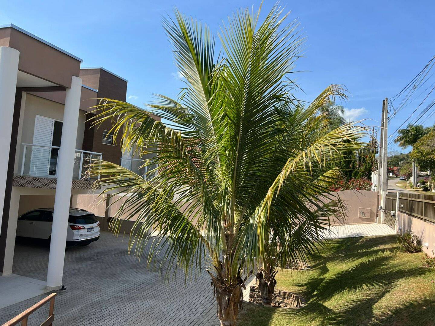 Casa, 4 quartos, 560 m² - Foto 73