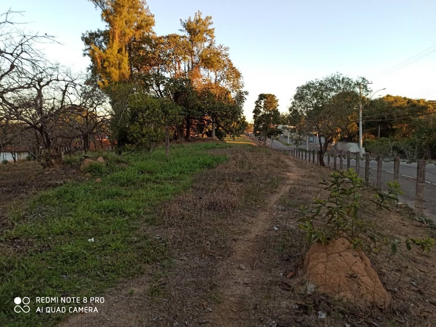 Terreno, 4 hectares - Foto 4
