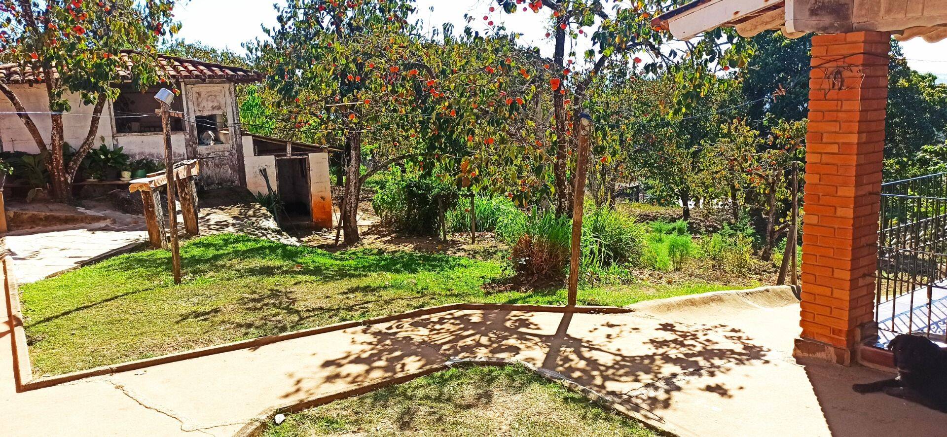 Terreno, 4 hectares - Foto 8