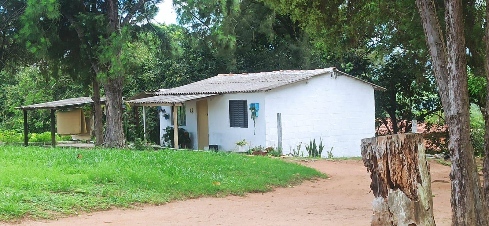 Terreno, 4 hectares - Foto 12