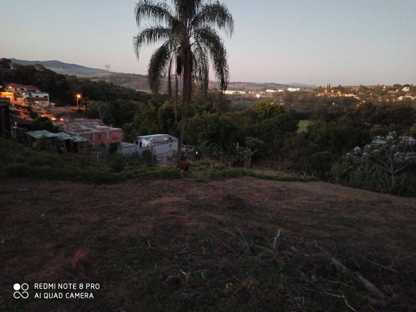 Terreno, 4 hectares - Foto 16