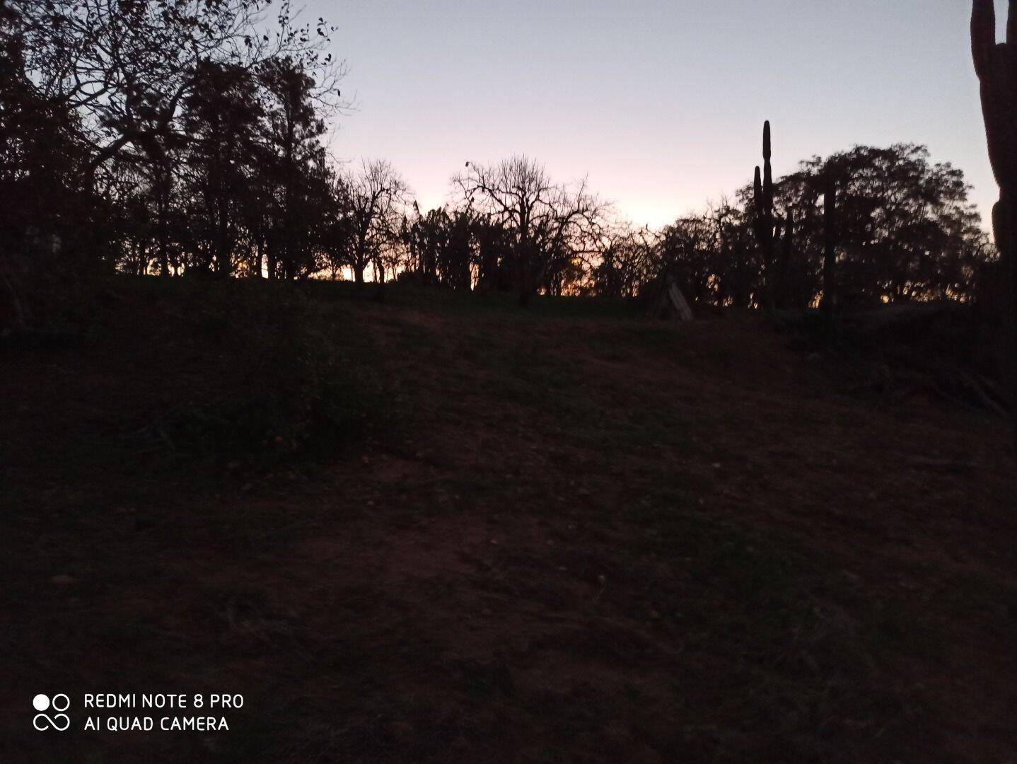 Terreno, 4 hectares - Foto 24
