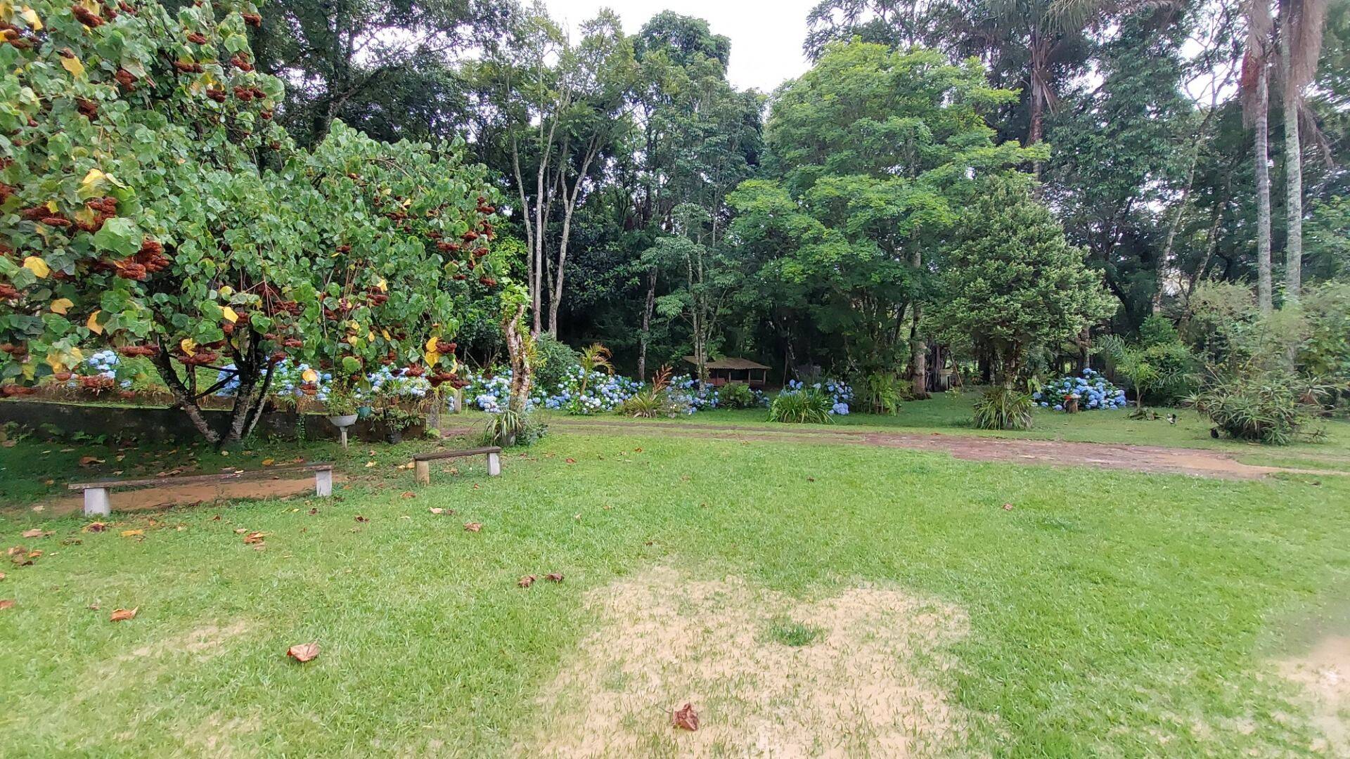 Chácara, 4 quartos, 8000 m² - Foto 6